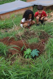 PlantioBaoba_5