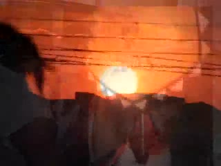 bactainã