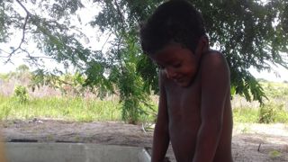 Rota dos Baobás na Aldeia Pataxo Para
