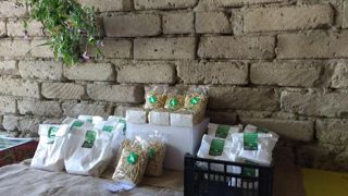 Festa di Mezza Primavera