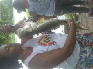 Acampamento Guanabara
