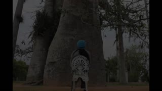Tempo de Sonhar