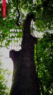 Quilombo da Pedra Bonita na Floresta da Tijuca resiste desde antes da abolição