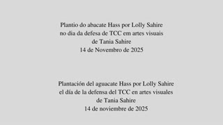 Doña Lolly Sahire plantando abacate hass