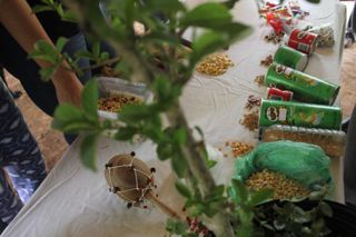 IMG_3570