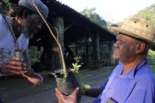 Fazenda da Cai\xa