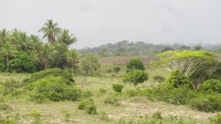Aldeia Pará