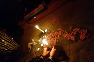 Ritual de tecnoxamanismo