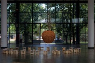 baoba_bienal